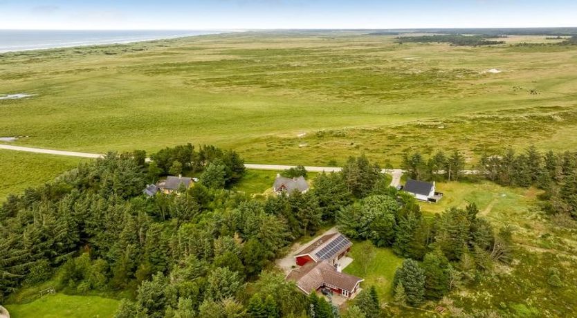 Photo of "Aisling" - 700m from the sea