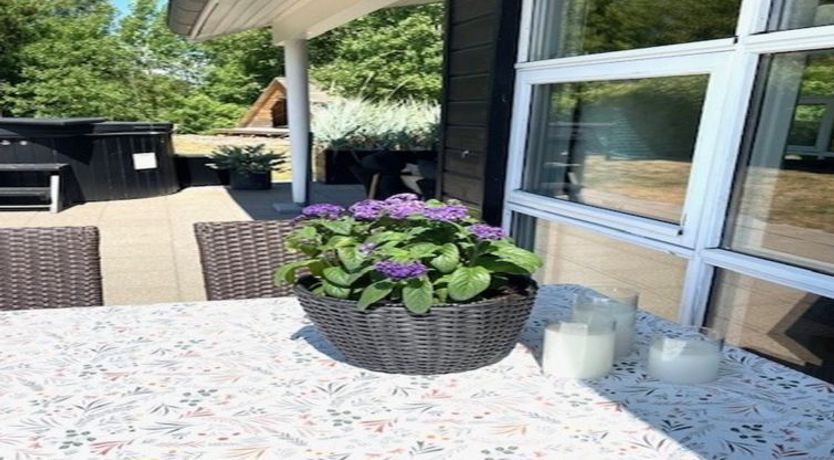 Photo of "Frederikka" - 1.9km from the sea