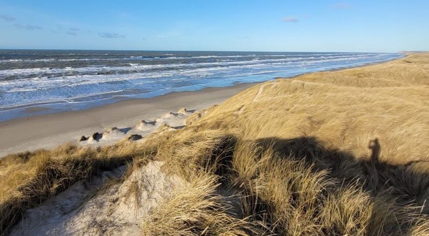 Photo of "Heralde" - 60m from the sea