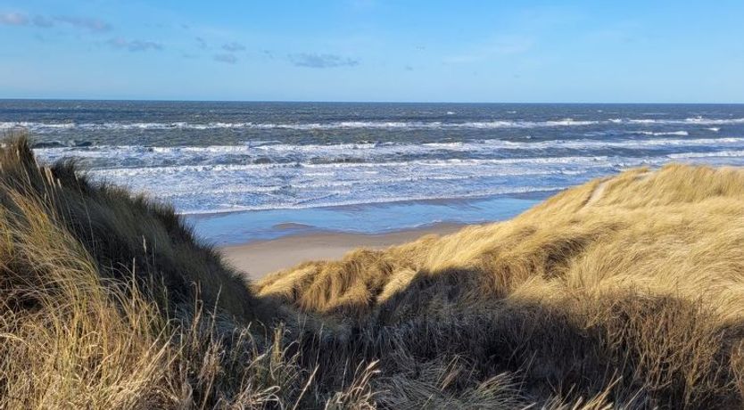 Photo of "Heralde" - 60m from the sea