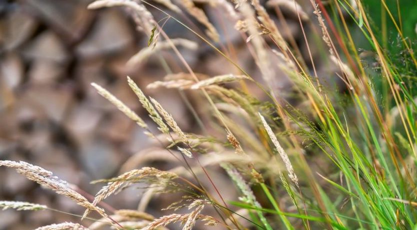 Photo of "Karlene" - 300m from the sea