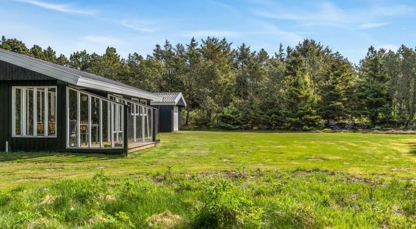 Photo of "Star" - 600m from the sea