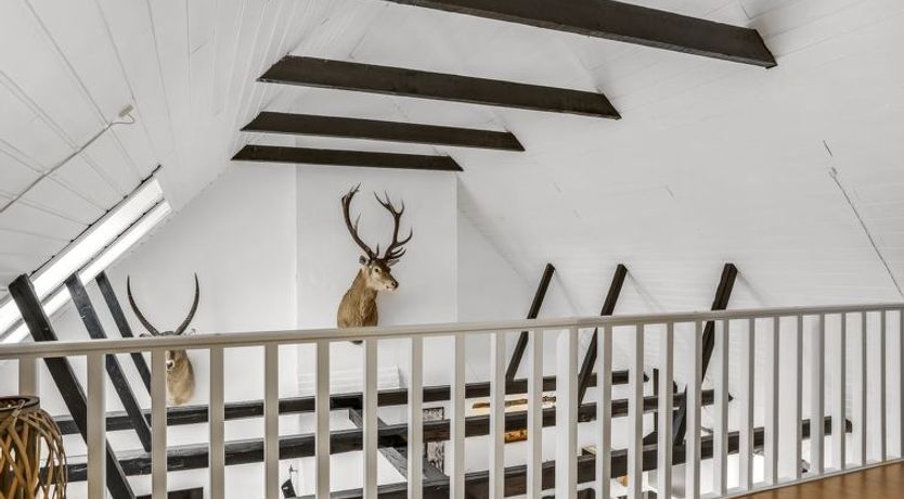 Photo of "Thorgot" - 3km from the sea