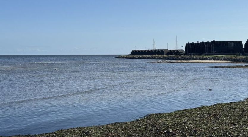 Photo of "Elevus" -  from the sea