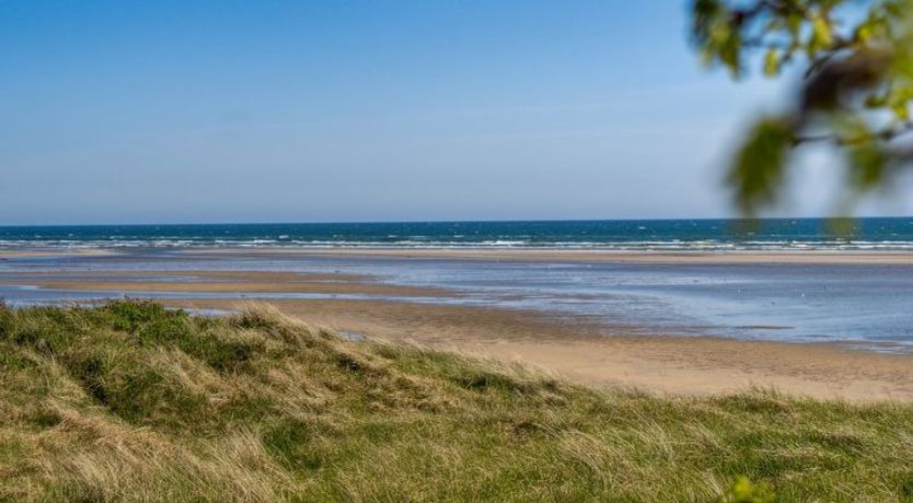 Photo of "Keti" - 50m from the sea