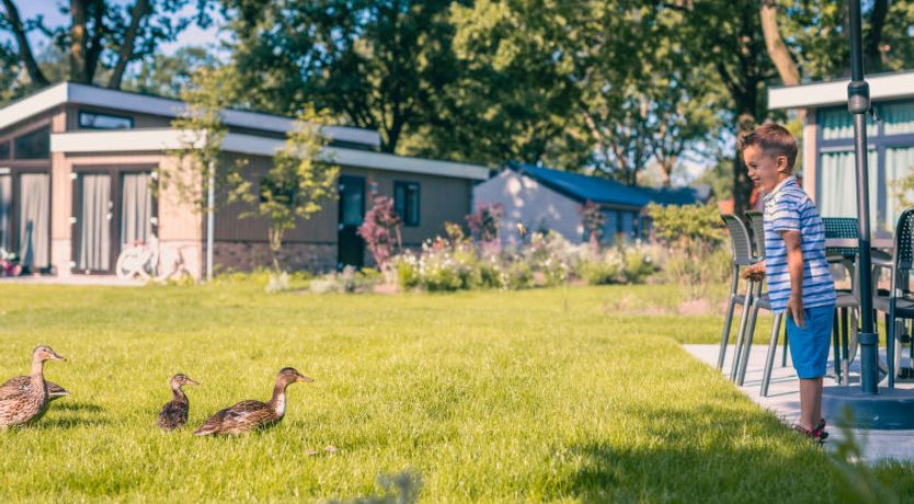 Photo of Just Nature 4