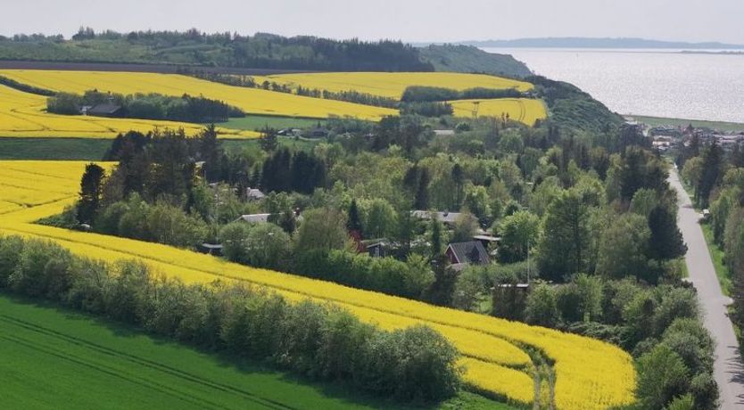 Photo of "Aranja" - 300m to the fjord