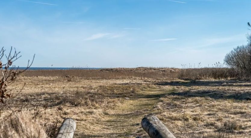 Photo of "Jaike" -  from the sea