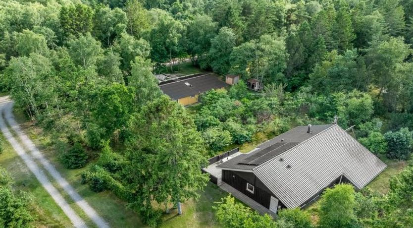 Photo of "Brunetta" - 350m from the sea