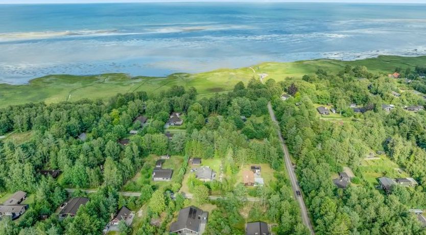 Photo of "Brunetta" - 350m from the sea