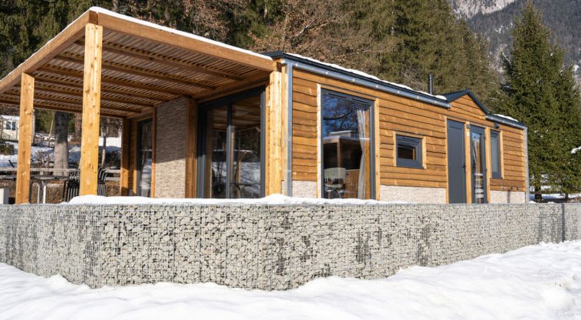 Photo of Edelweiss 2