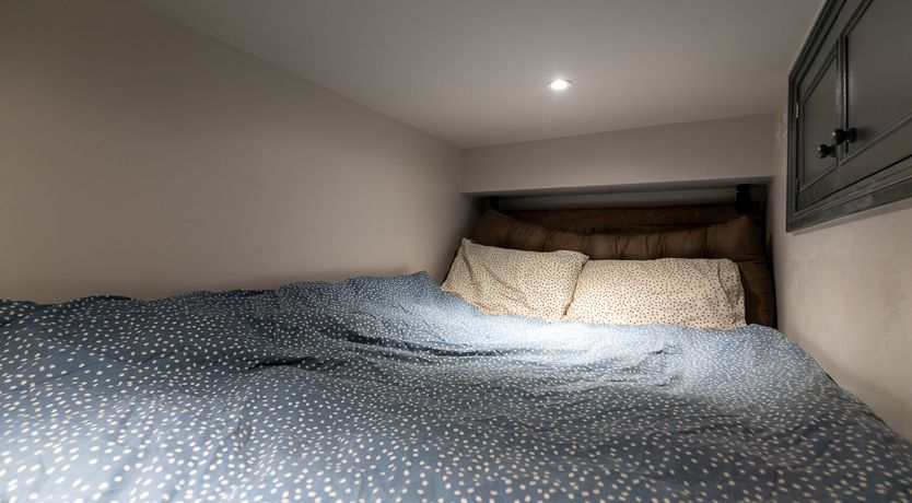 Photo of London Primrose