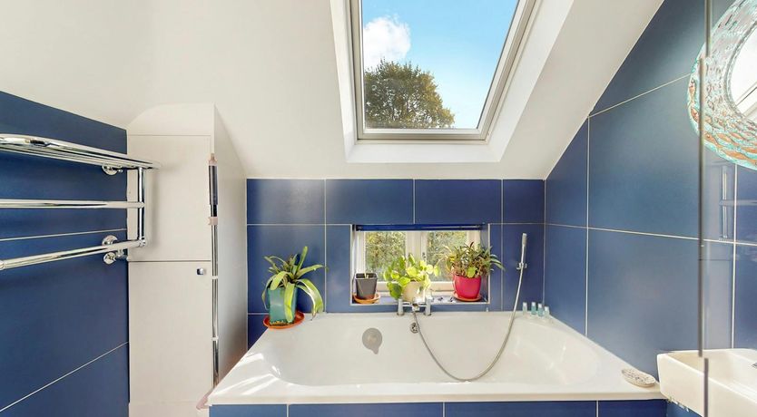 Photo of Verdure & Pine