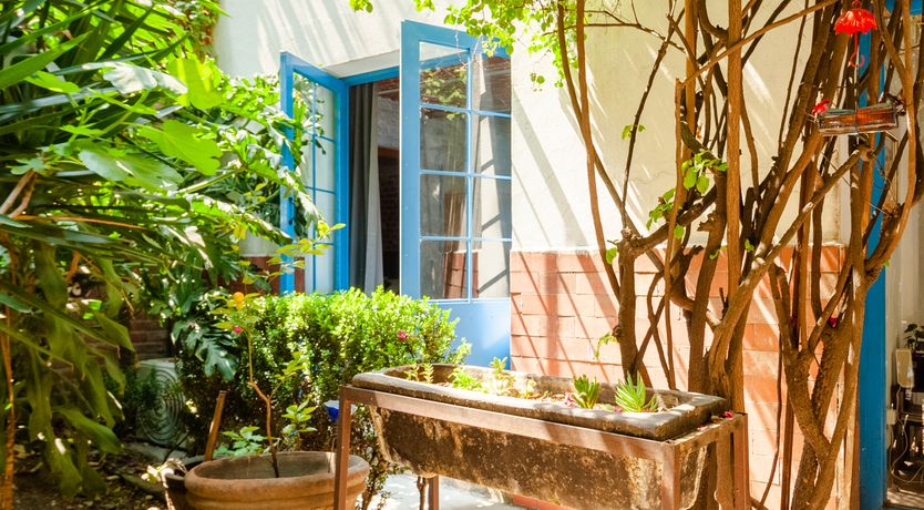 Photo of Mexican Magic