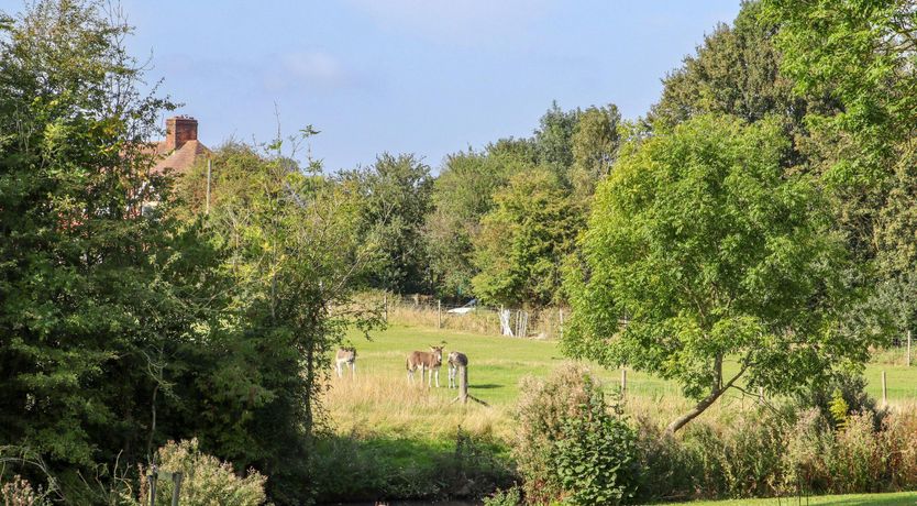 Photo of English Bliss