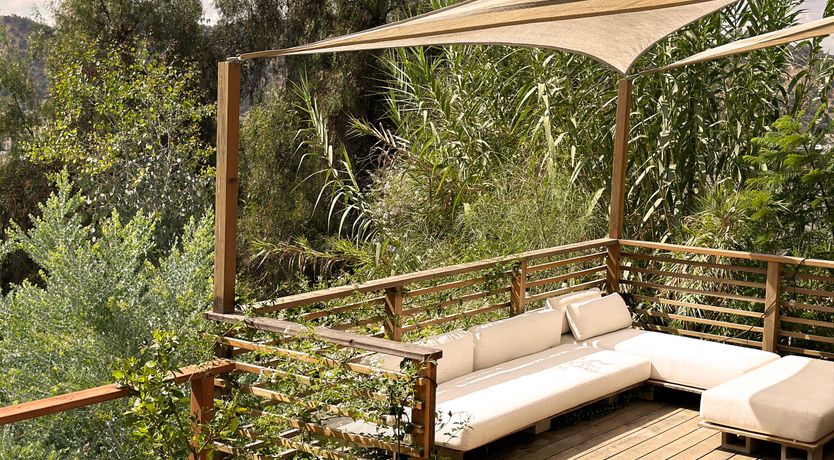 Photo of The California Dreamin