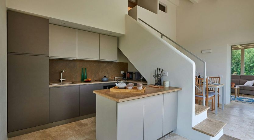 Photo of The Chianti Grape