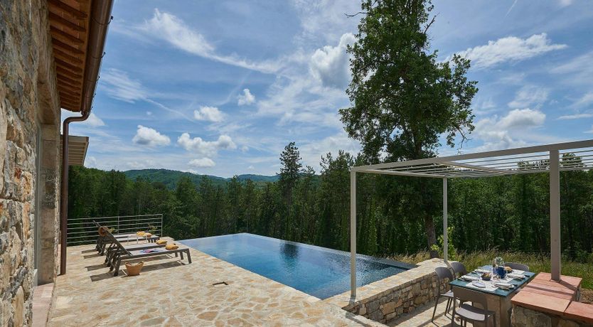 Photo of The Chianti Grape