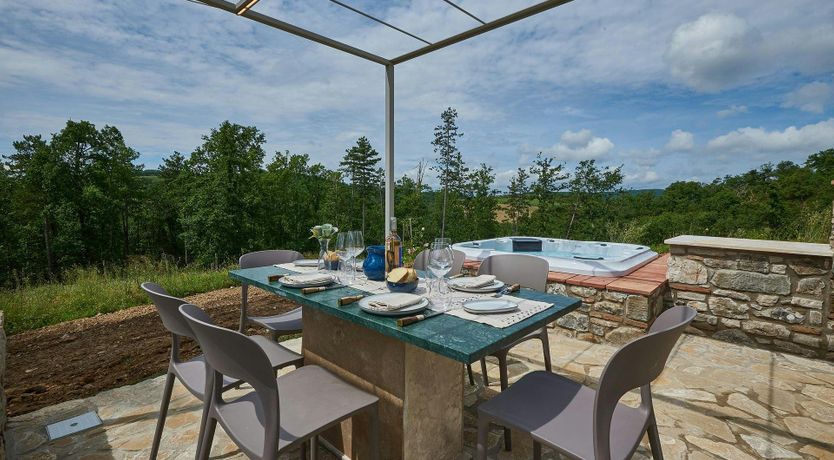 Photo of The Chianti Grape