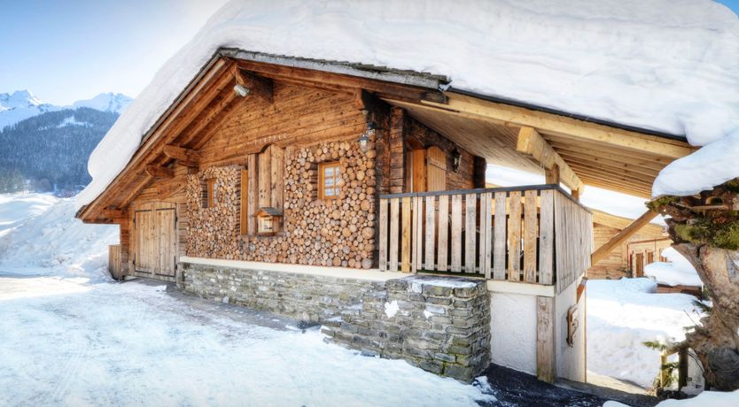 Photo of Alpine Light