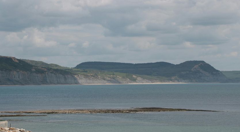 Photo of The Golden Stars