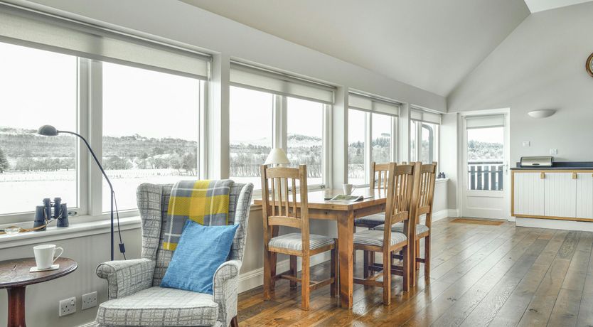 Photo of The Train Spotter