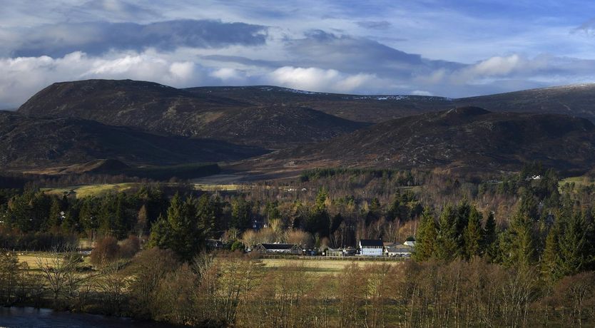 Photo of The Train Spotter