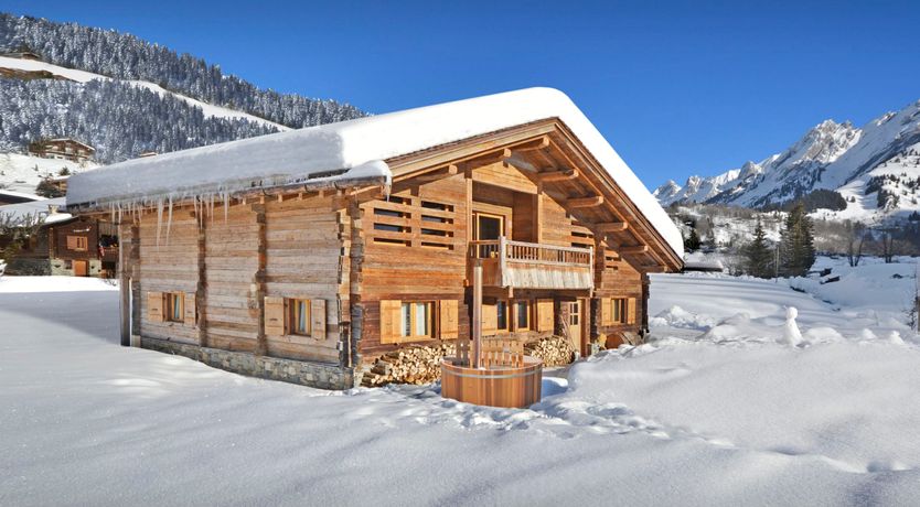 Photo of Snowcapped Woods