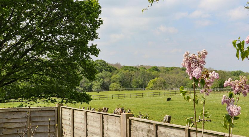 Photo of East Sussex Escape