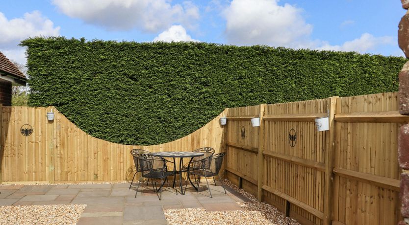 Photo of Orchard Reverie