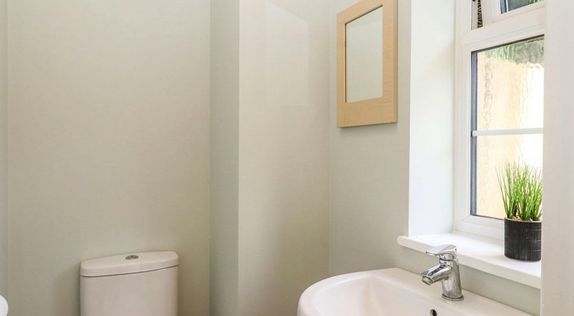 Photo of Orchard Reverie