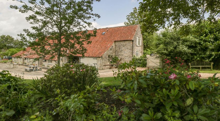 Photo of The Iron Finch