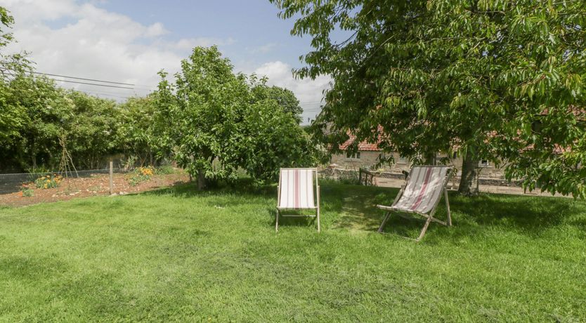 Photo of The Iron Finch