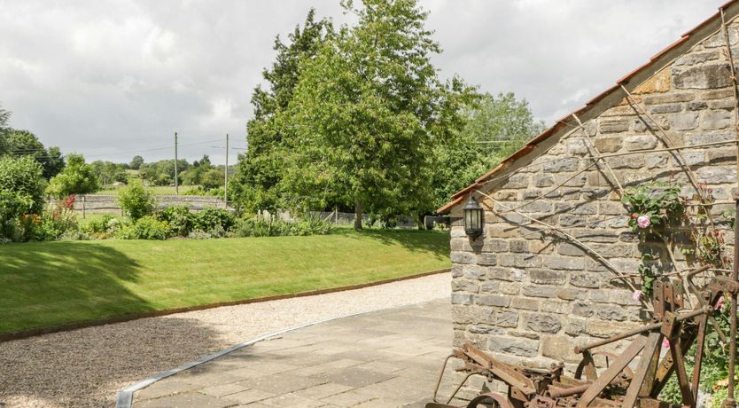 Photo of The Iron Finch