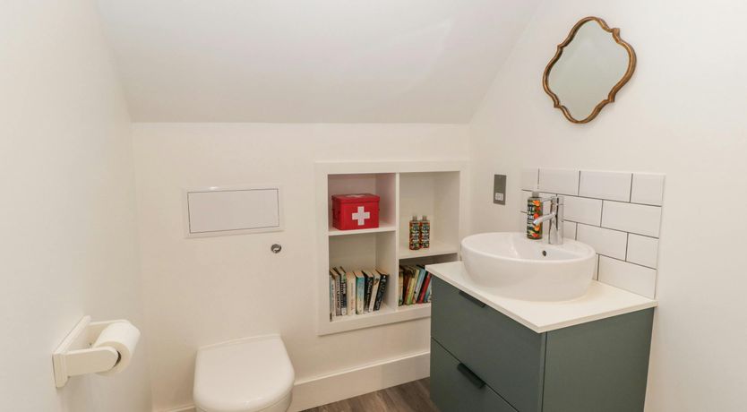 Photo of The Iron Finch