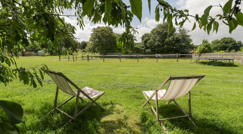 Photo of The Iron Finch