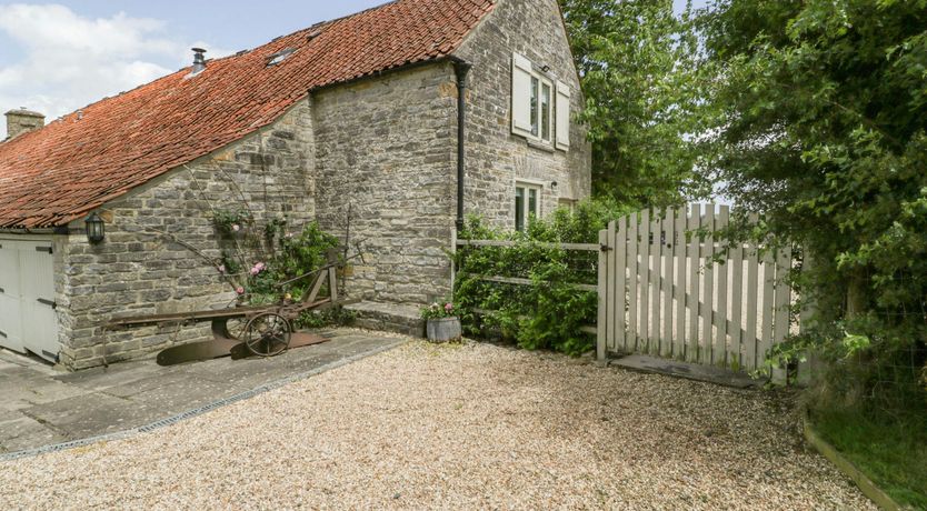 Photo of The Iron Finch