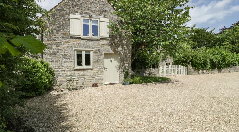 Photo of The Iron Finch