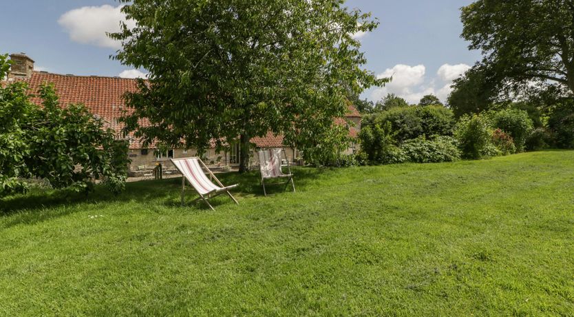 Photo of The Iron Finch