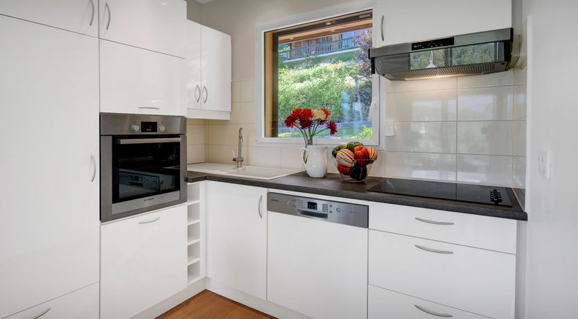 Photo of The Flying Dragon