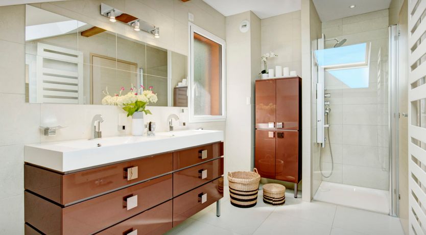 Photo of The Flying Dragon