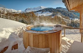 Alpine Spirit Holiday Home