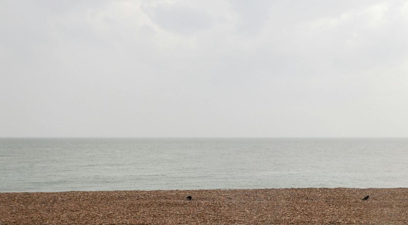 Photo of Beachside Solitude