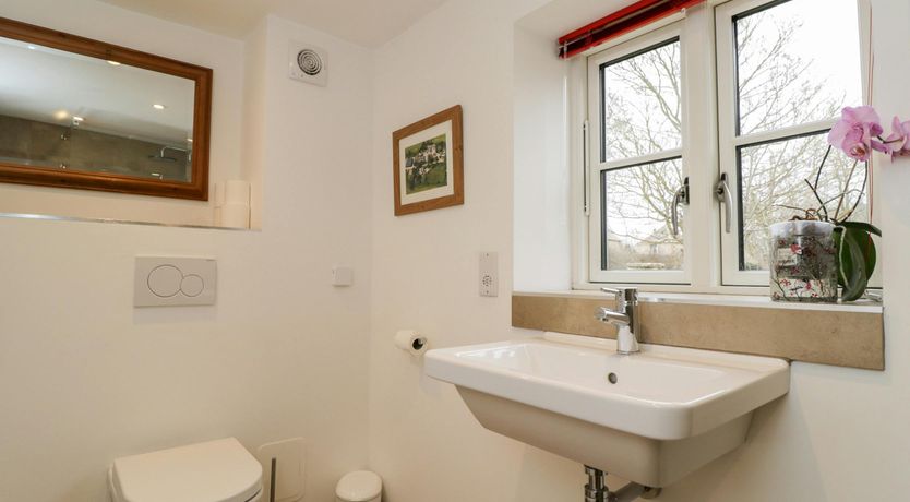 Photo of The Willow Tree