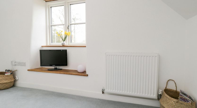 Photo of The Willow Tree