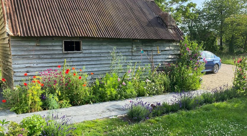 Photo of The Willow Tree