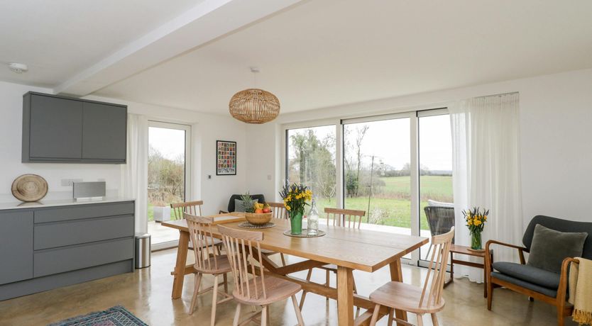 Photo of The Willow Tree