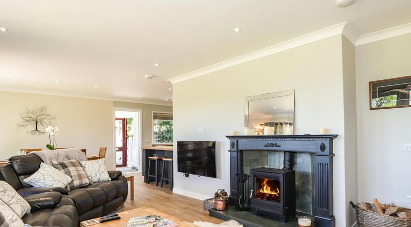 Photo of Red Squirrel