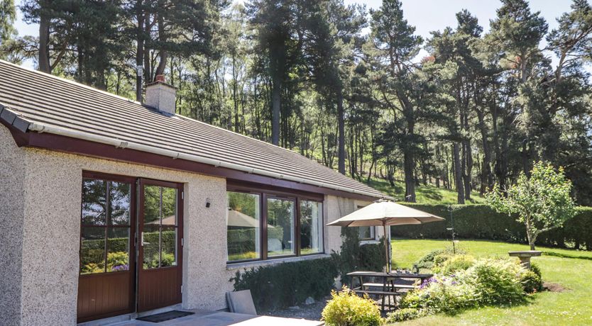 Photo of Red Squirrel