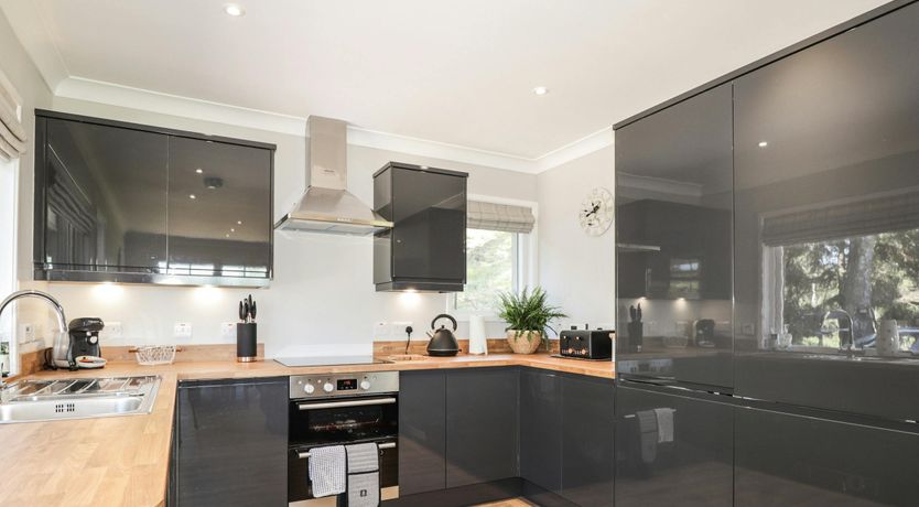 Photo of Red Squirrel